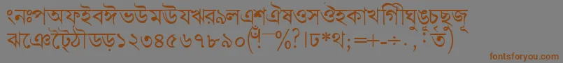 Fonte Bengalidhakassk – fontes marrons em um fundo cinza