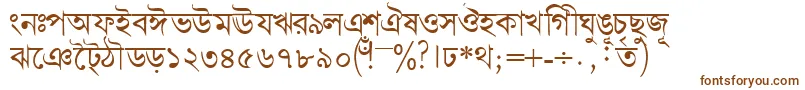 Bengalidhakassk Font – Brown Fonts on White Background