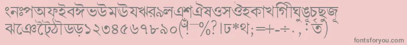 Bengalidhakassk Font – Gray Fonts on Pink Background