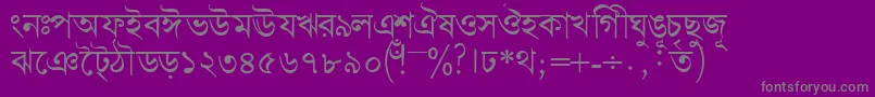 Bengalidhakassk Font – Gray Fonts on Purple Background