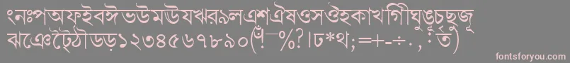 フォントBengalidhakassk – 灰色の背景にピンクのフォント