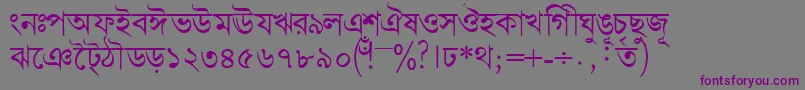 Bengalidhakassk Font – Purple Fonts on Gray Background