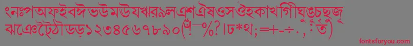 Bengalidhakassk Font – Red Fonts on Gray Background