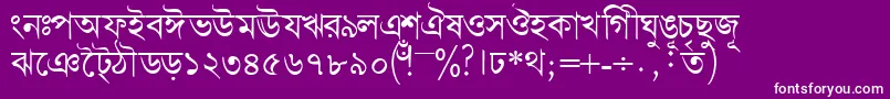Bengalidhakassk Font – White Fonts on Purple Background