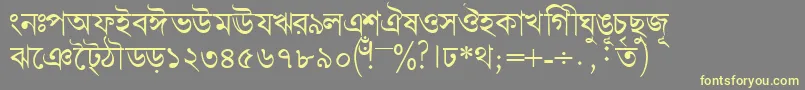 Bengalidhakassk Font – Yellow Fonts on Gray Background