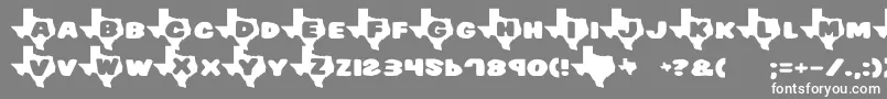 Texas Font – White Fonts on Gray Background
