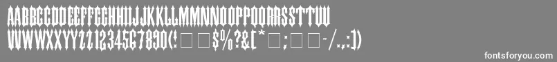 フォントCantinaExpandedSsiSemiExpanded – 灰色の背景に白い文字