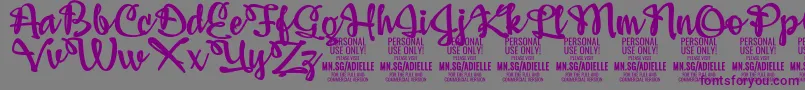 Шрифт AdiellePersonalUseOnly – фиолетовые шрифты на сером фоне