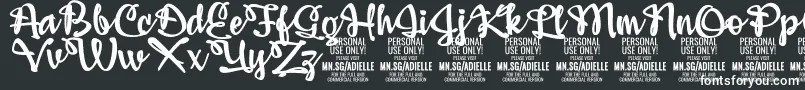 AdiellePersonalUseOnly Font – White Fonts on Black Background