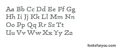 Review of the LinotypeConradRegular Font
