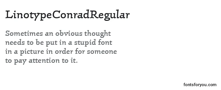 LinotypeConradRegular Font