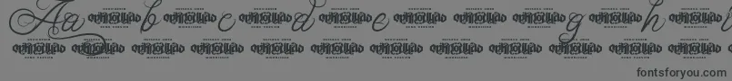 フォントUnblessedScriptDemo – 黒い文字の灰色の背景