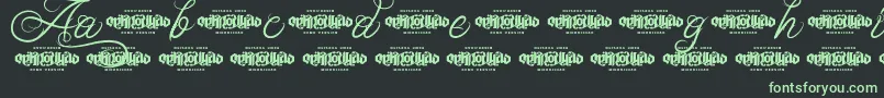 UnblessedScriptDemo Font – Green Fonts on Black Background