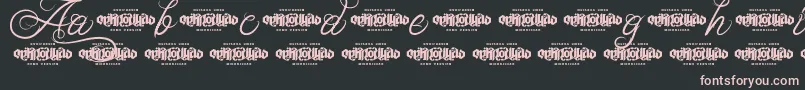 UnblessedScriptDemo Font – Pink Fonts on Black Background