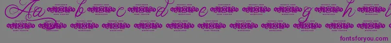 Шрифт UnblessedScriptDemo – фиолетовые шрифты на сером фоне