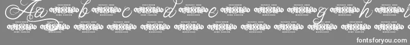 Fonte UnblessedScriptDemo – fontes brancas em um fundo cinza