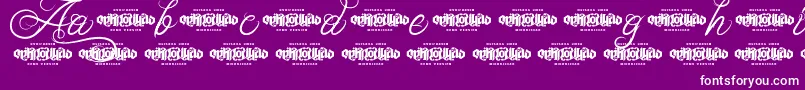UnblessedScriptDemo Font – White Fonts on Purple Background