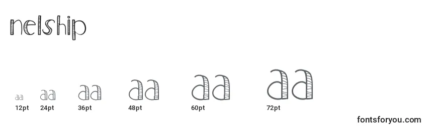 Nelship Font Sizes