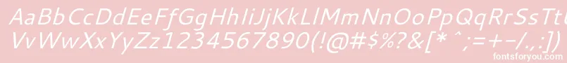 CantarellOblique Font – White Fonts on Pink Background