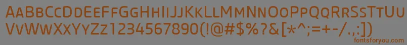 Шрифт CoreSansMSc45Regular – коричневые шрифты на сером фоне