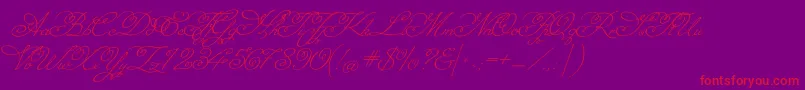 MissfajardoseRegular-Schriftart – Rote Schriften auf violettem Hintergrund
