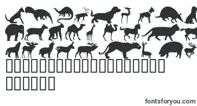 Wmanimals2 font – Fonts Animals