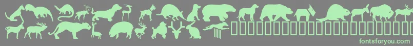 Czcionka Wmanimals2 – zielone czcionki na szarym tle