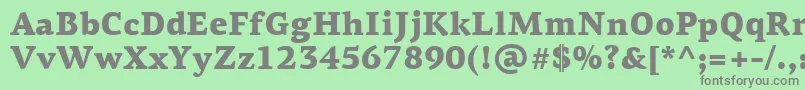 PfagoraserifproBlack Font – Gray Fonts on Green Background