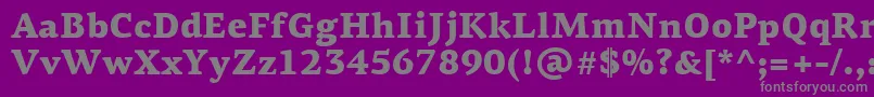 フォントPfagoraserifproBlack – 紫の背景に灰色の文字