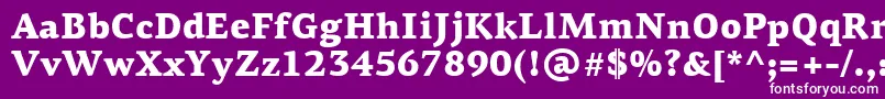 PfagoraserifproBlack Font – White Fonts on Purple Background