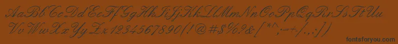 Шрифт Quadrillescriptssk – чёрные шрифты на коричневом фоне