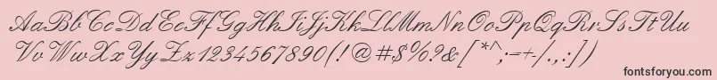 Quadrillescriptssk Font – Black Fonts on Pink Background