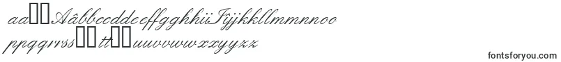 Quadrillescriptssk Font – Romanian Fonts