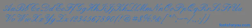フォントQuadrillescriptssk – 灰色の背景に青い文字