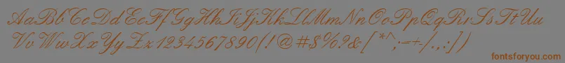 Quadrillescriptssk Font – Brown Fonts on Gray Background