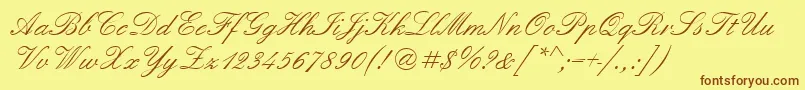 Quadrillescriptssk Font – Brown Fonts on Yellow Background