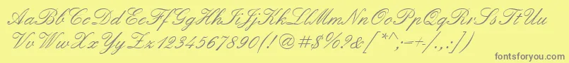 Quadrillescriptssk Font – Gray Fonts on Yellow Background