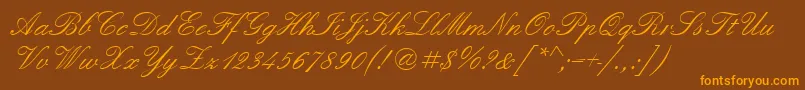 Quadrillescriptssk Font – Orange Fonts on Brown Background