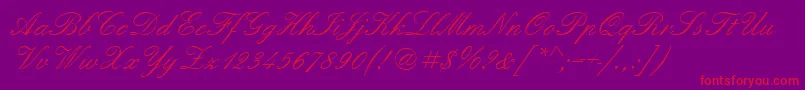 フォントQuadrillescriptssk – 紫の背景に赤い文字