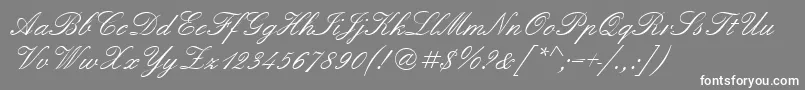 フォントQuadrillescriptssk – 灰色の背景に白い文字