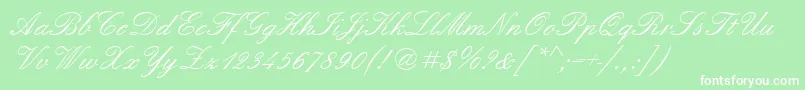 Quadrillescriptssk Font – White Fonts on Green Background