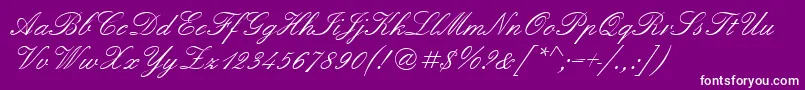 Quadrillescriptssk Font – White Fonts on Purple Background