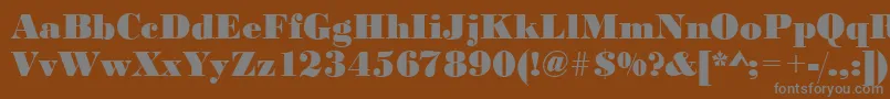 BodonistdXboldRegular-fontti – harmaat kirjasimet ruskealla taustalla
