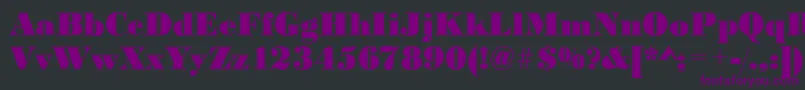 BodonistdXboldRegular Font – Purple Fonts on Black Background