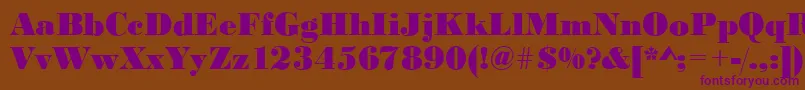 BodonistdXboldRegular Font – Purple Fonts on Brown Background