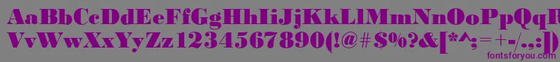 BodonistdXboldRegular Font – Purple Fonts on Gray Background