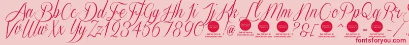 More about SverigescriptcleanDemo Font SverigescriptcleanDemo Font – Red Fonts on Pink Background