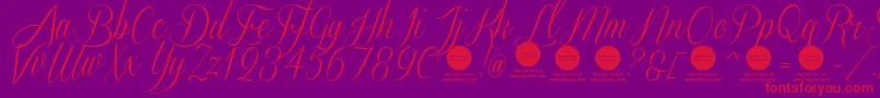 SverigescriptcleanDemo-Schriftart – Rote Schriften auf violettem Hintergrund