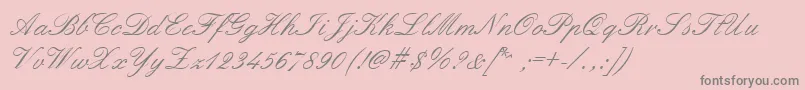 FormalScriptRegular-Schriftart – Graue Schriften auf rosa Hintergrund