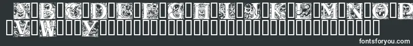 WraithCaps Font – White Fonts on Black Background